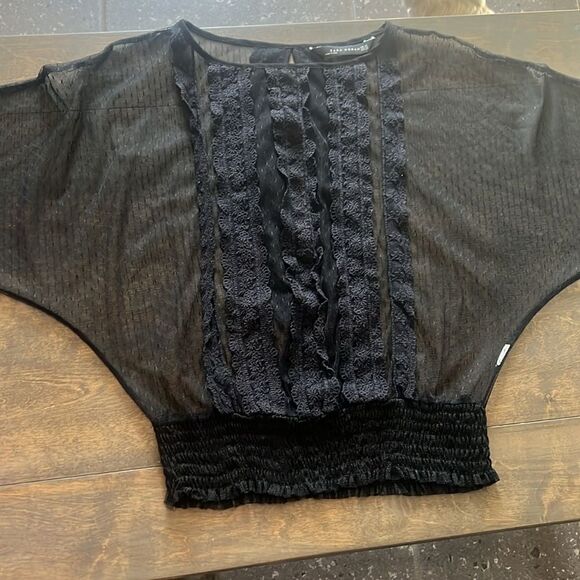 ZARA Black Sheer Blouse - Picture 12 of 13